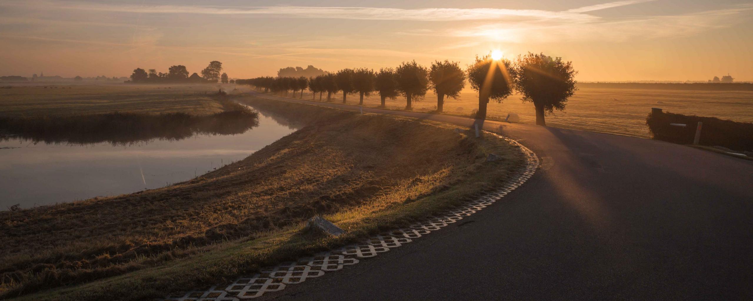 weg met bocht en wilgenbomen